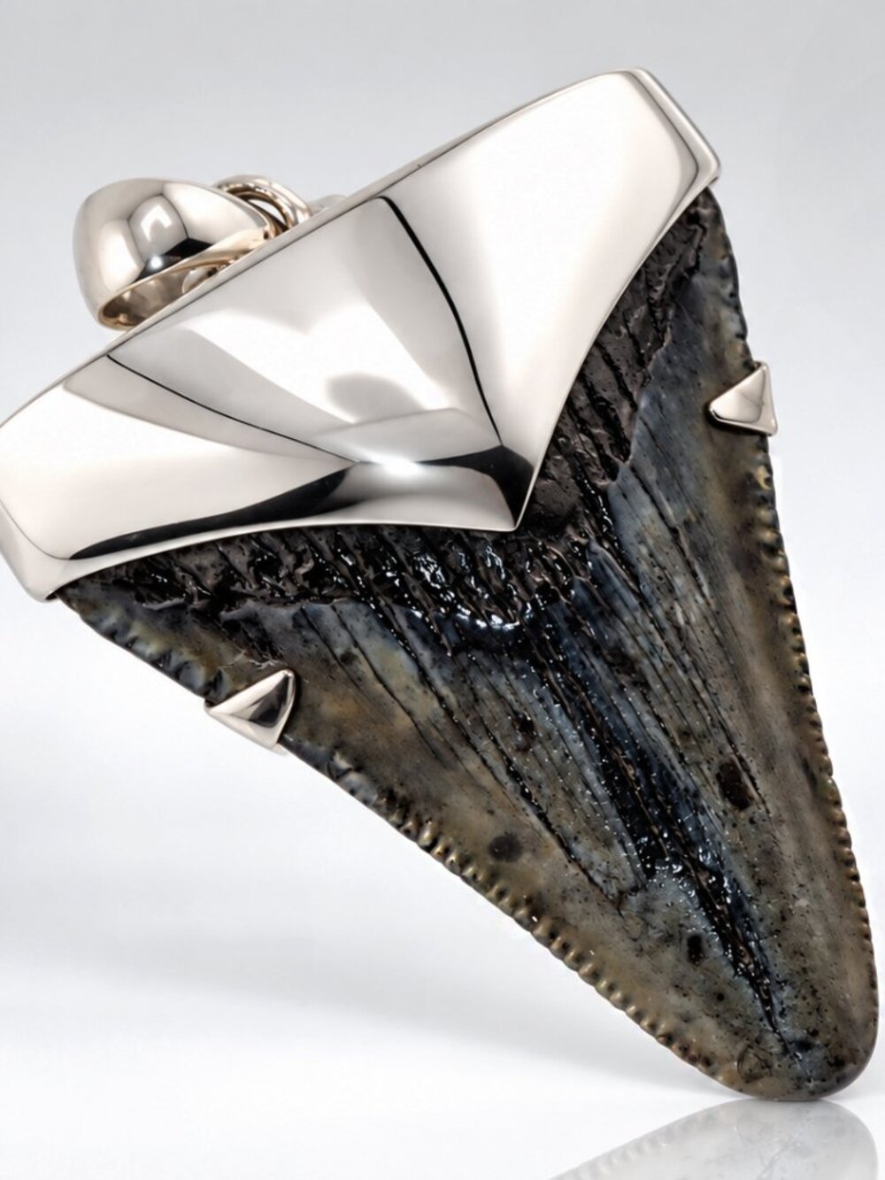Fossil Megalodon Shark Tooth Pendant – Megalodon Tooth with Sterling Silver Cap